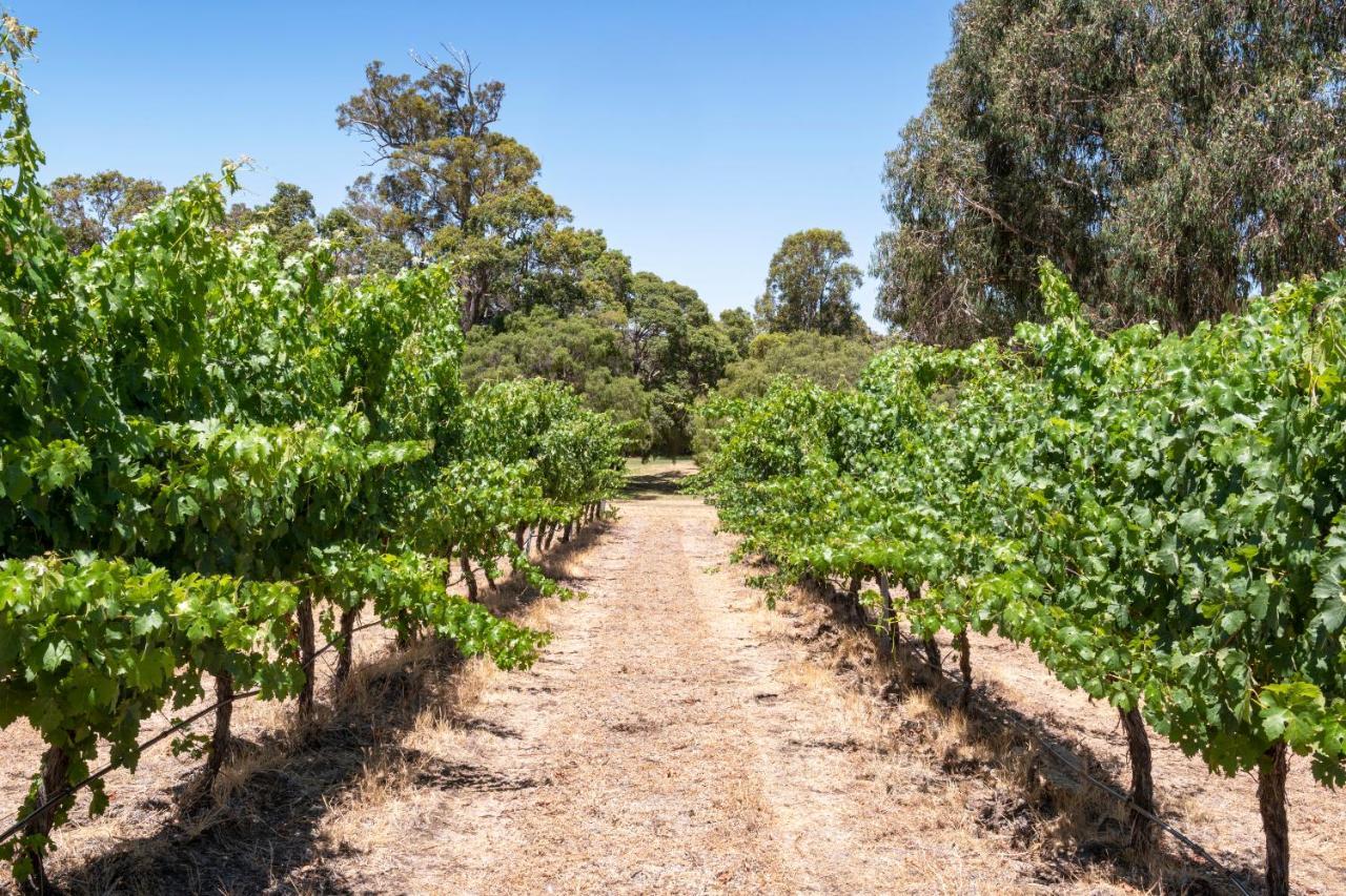 Island Brook Estate Vineyard And Chalets Yelverton Ngoại thất bức ảnh