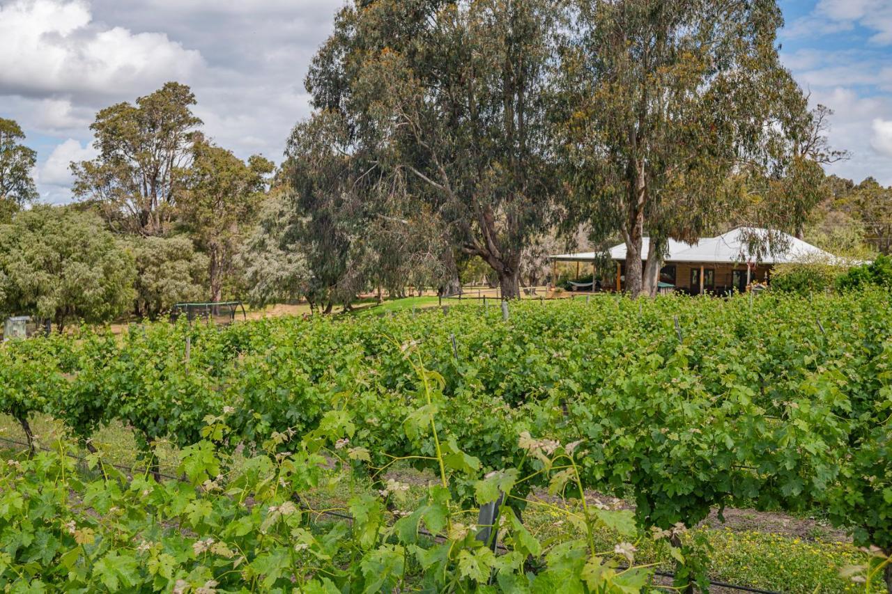 Island Brook Estate Vineyard And Chalets Yelverton Ngoại thất bức ảnh
